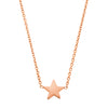 LJ 14k Hand Cut Star Necklace